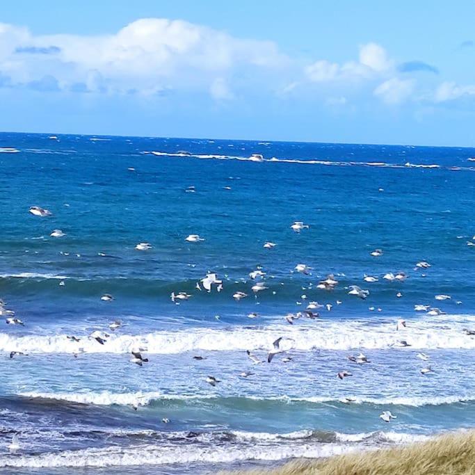 Gite Kerbourc'H Charmant Et Confortable, Mer Et Plages A 3Km, Ploudalmezeau Exterior photo